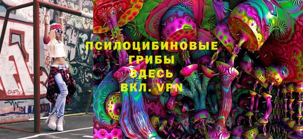 ГАЛЛЮЦИНОГЕННЫЕ ГРИБЫ Армянск