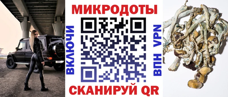 Галлюциногенные грибы Psilocybe  закладка  Павловск 
